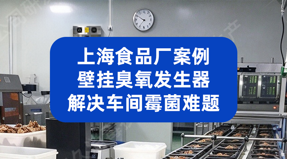 上海食品厂案例：壁挂臭氧机解决车间霉菌难题
